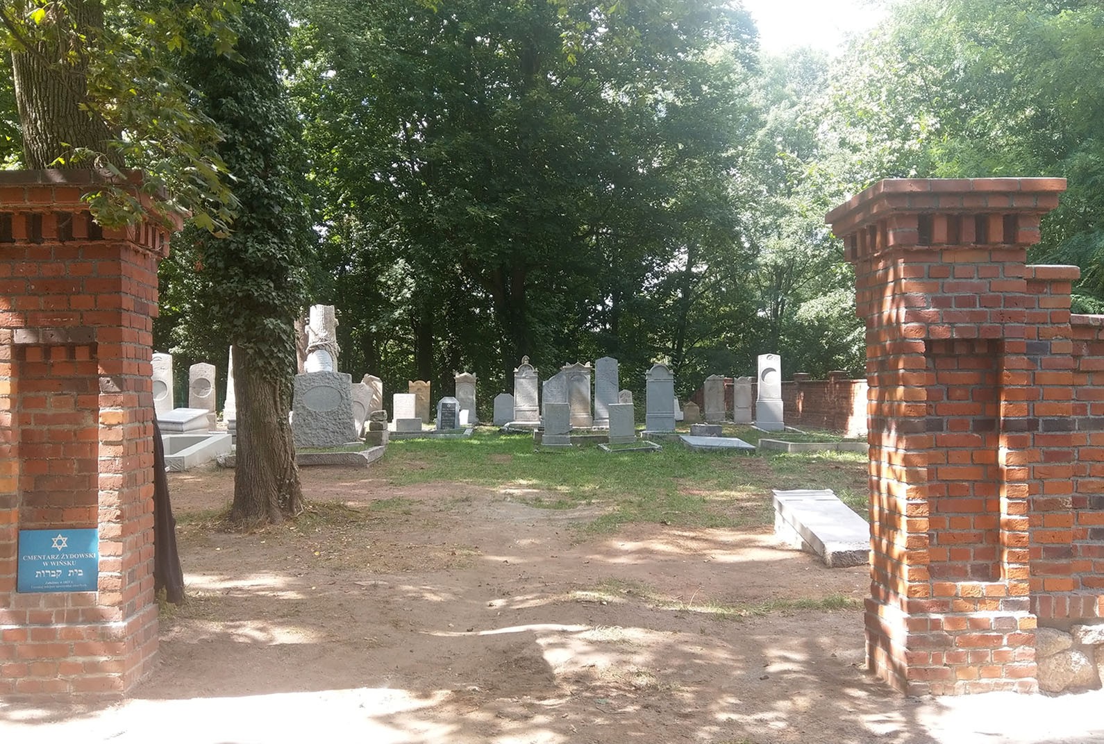 
RENOWACJA ZABYTKÓW 
Alta Sp. z o.o.
Galeria  Kontakt 
